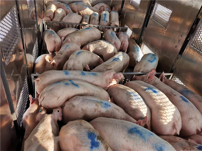 1588233518647112.png image.png